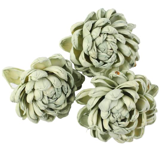 Sage Green Sola Flower Decorative Naturals by Ashland&#xAE;
